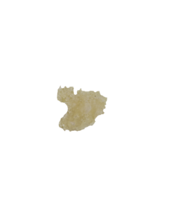 Mimosa Wax
