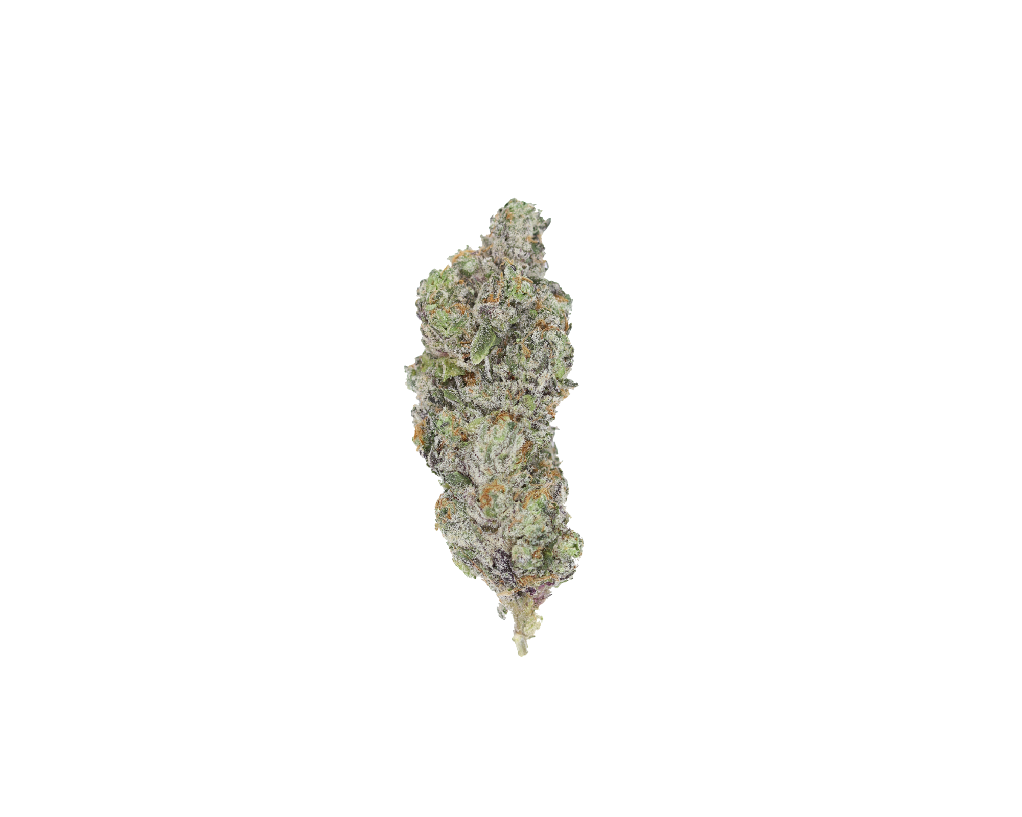 SFV OG Nug San Fernando Valley OG