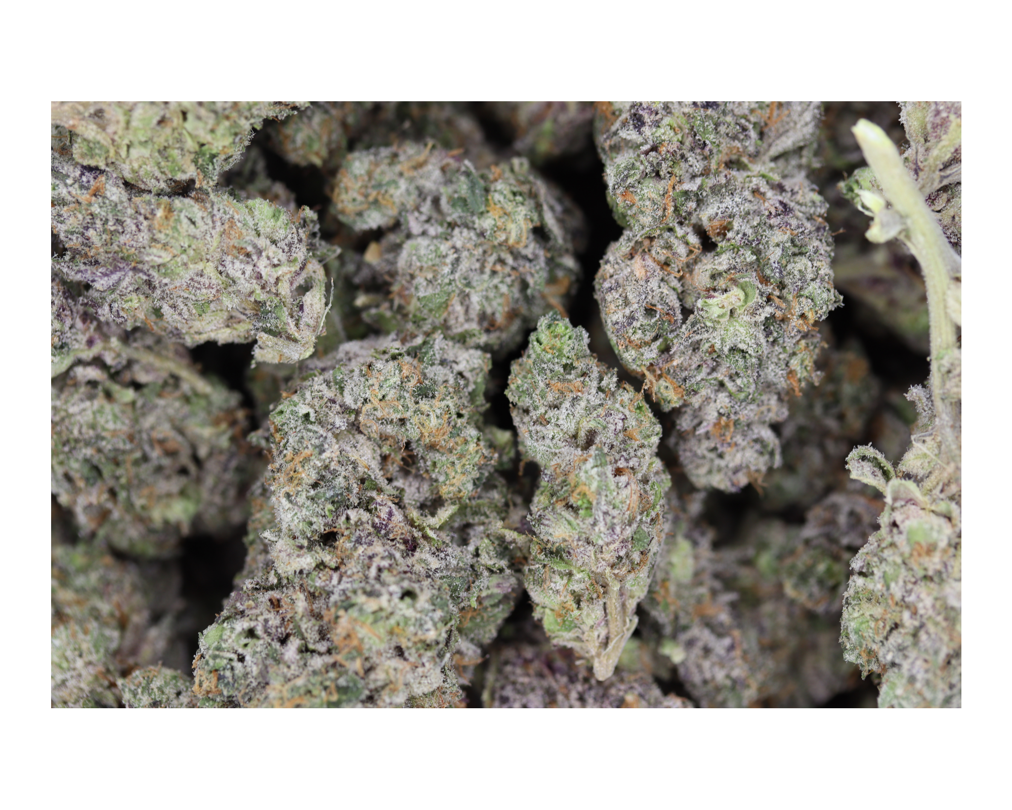 SFV OG bag San Fernando Valley OG