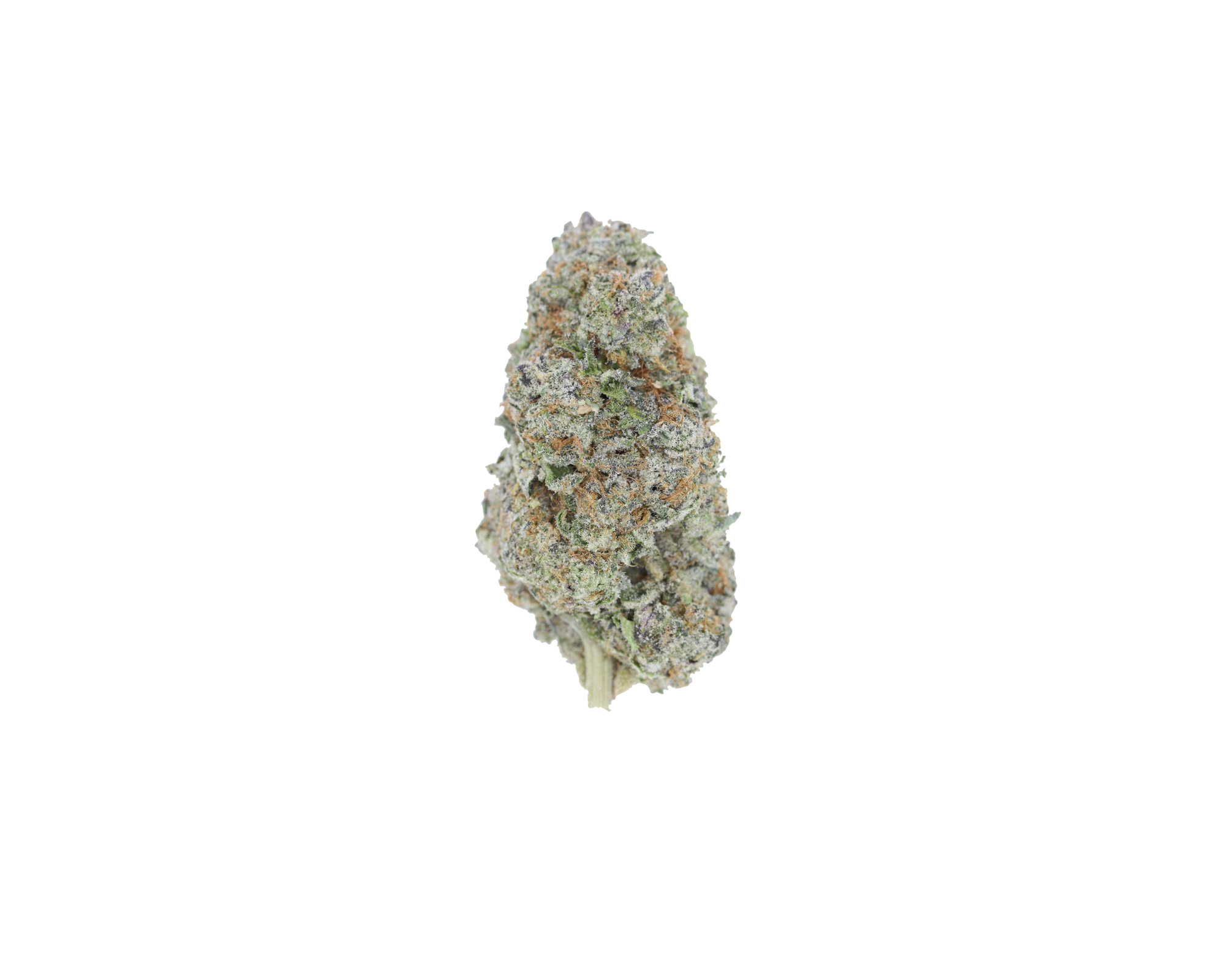 SpaceBerries Nug Space Berries