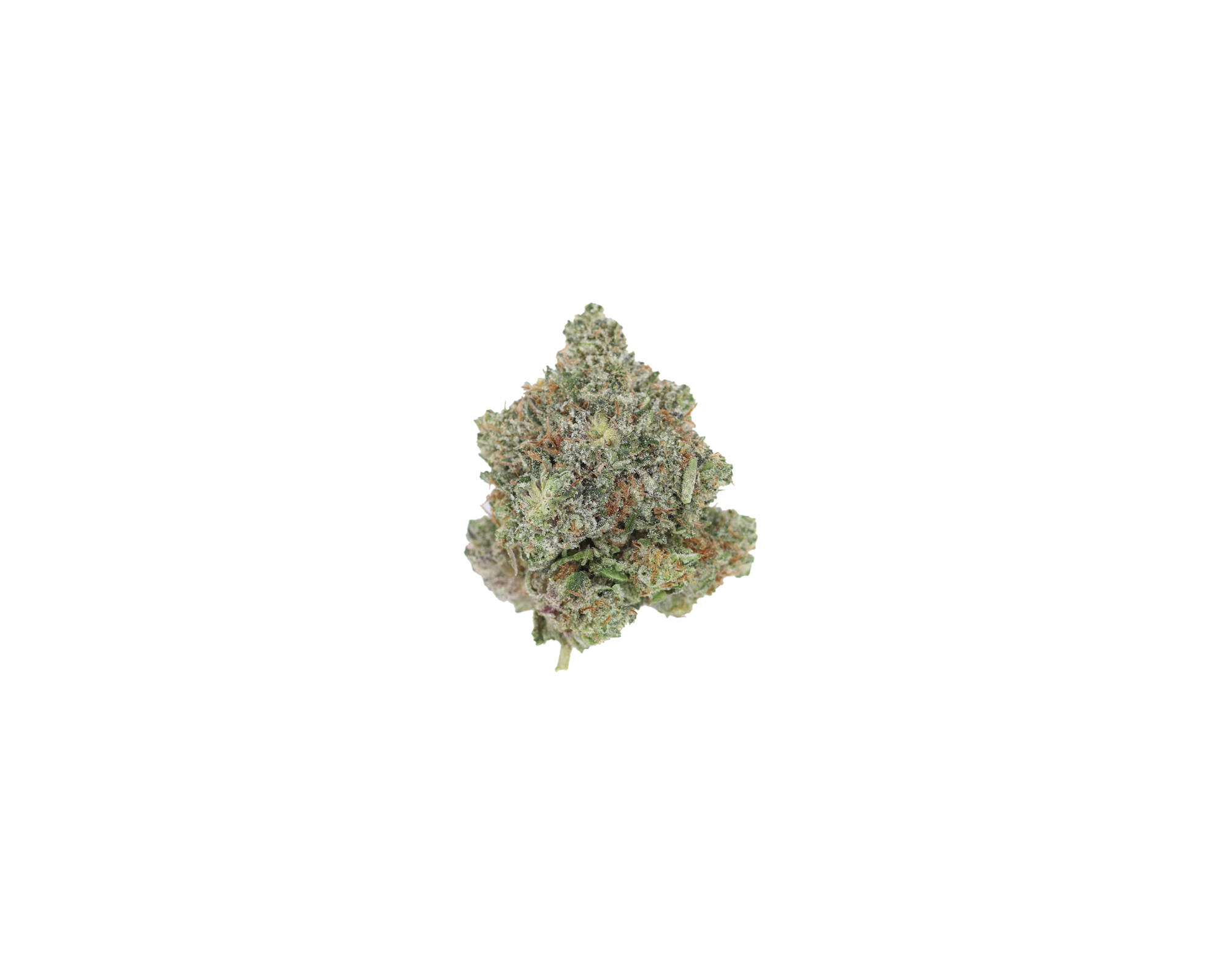 TFPink Nug Tom Ford Pink