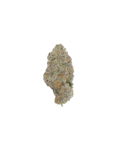 Cookies & Cream