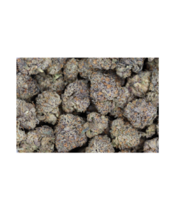 GrapeBerry bag GrapeBerry bag