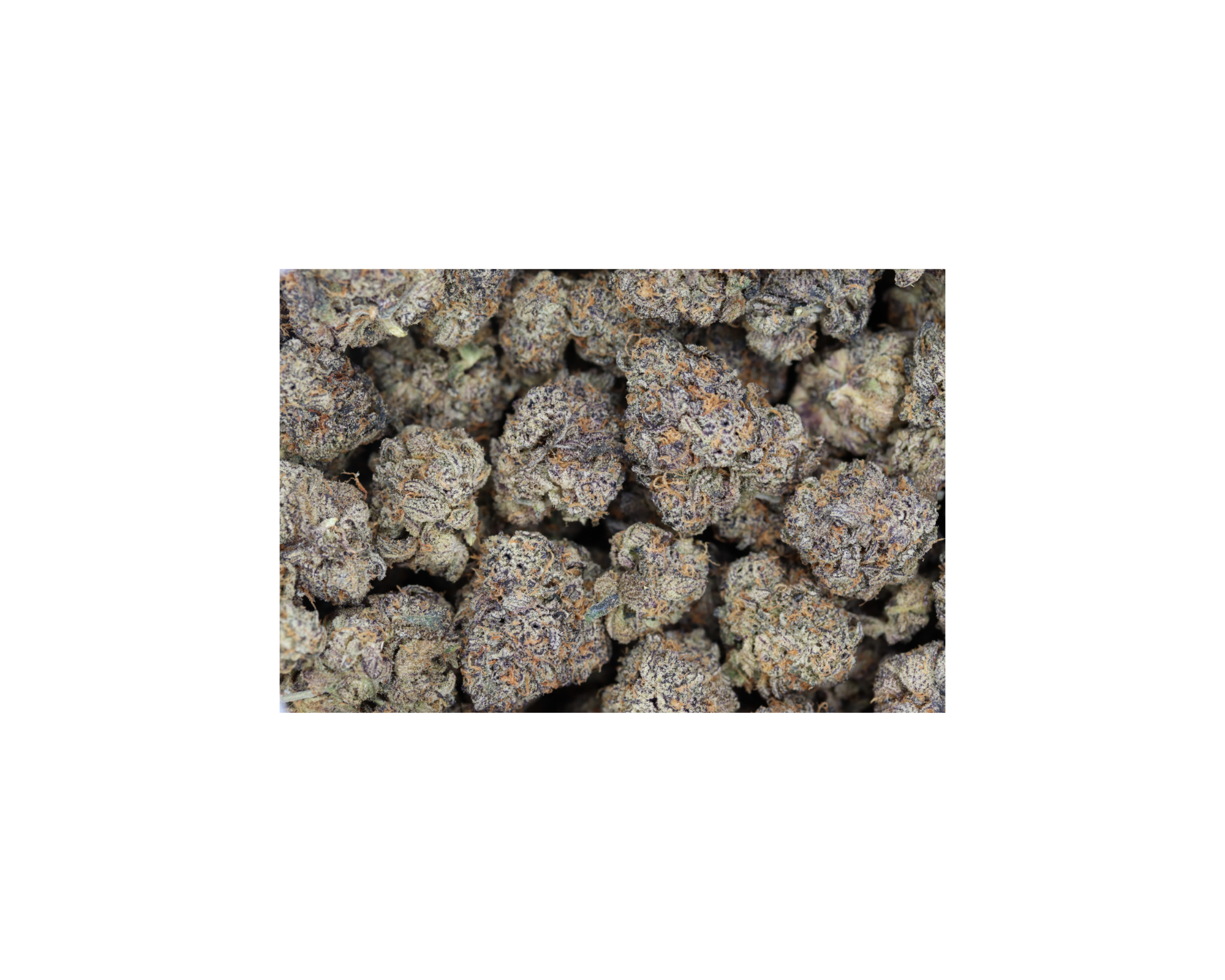 GrapeBerry bag Grape Berry