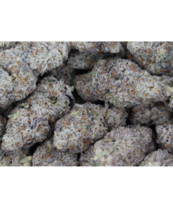 Island Exotics Black Biscotti Bag Island Exotics Black Biscotti Bag