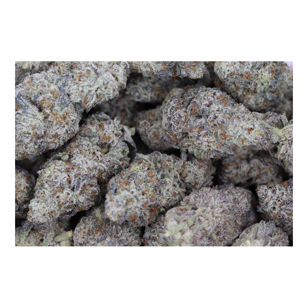 Island Exotics Black Biscotti Bag Island Exotics - Black Biscotti