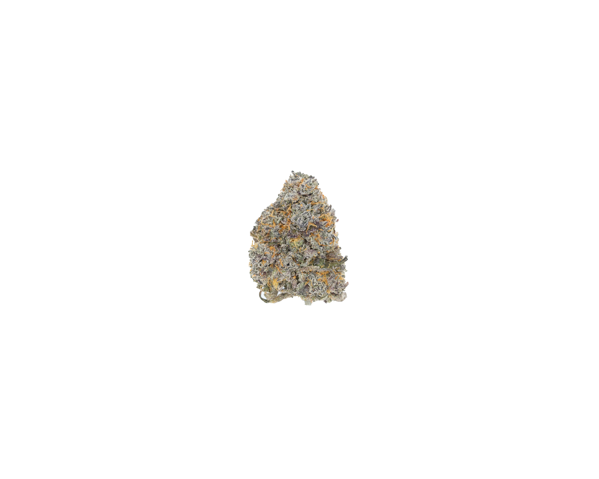 Jelly Runtz Nug Jelly Runtz