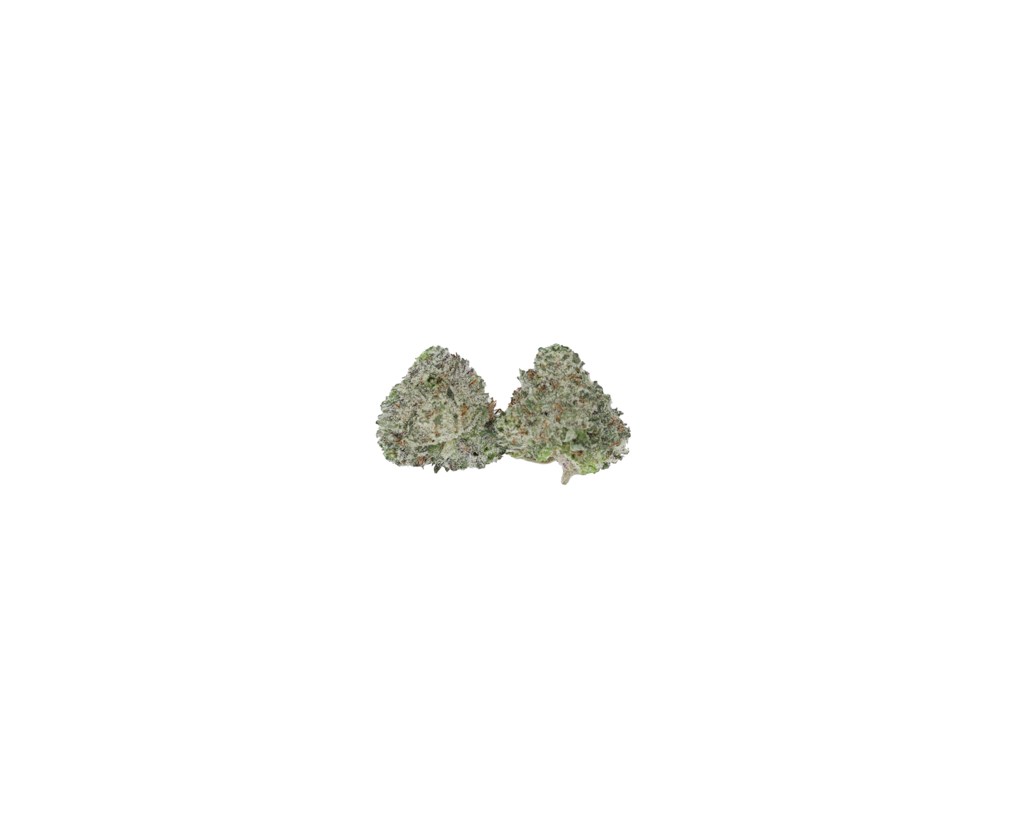 Lemon Lime Kush Nug Lemon Lime Kush Smalls