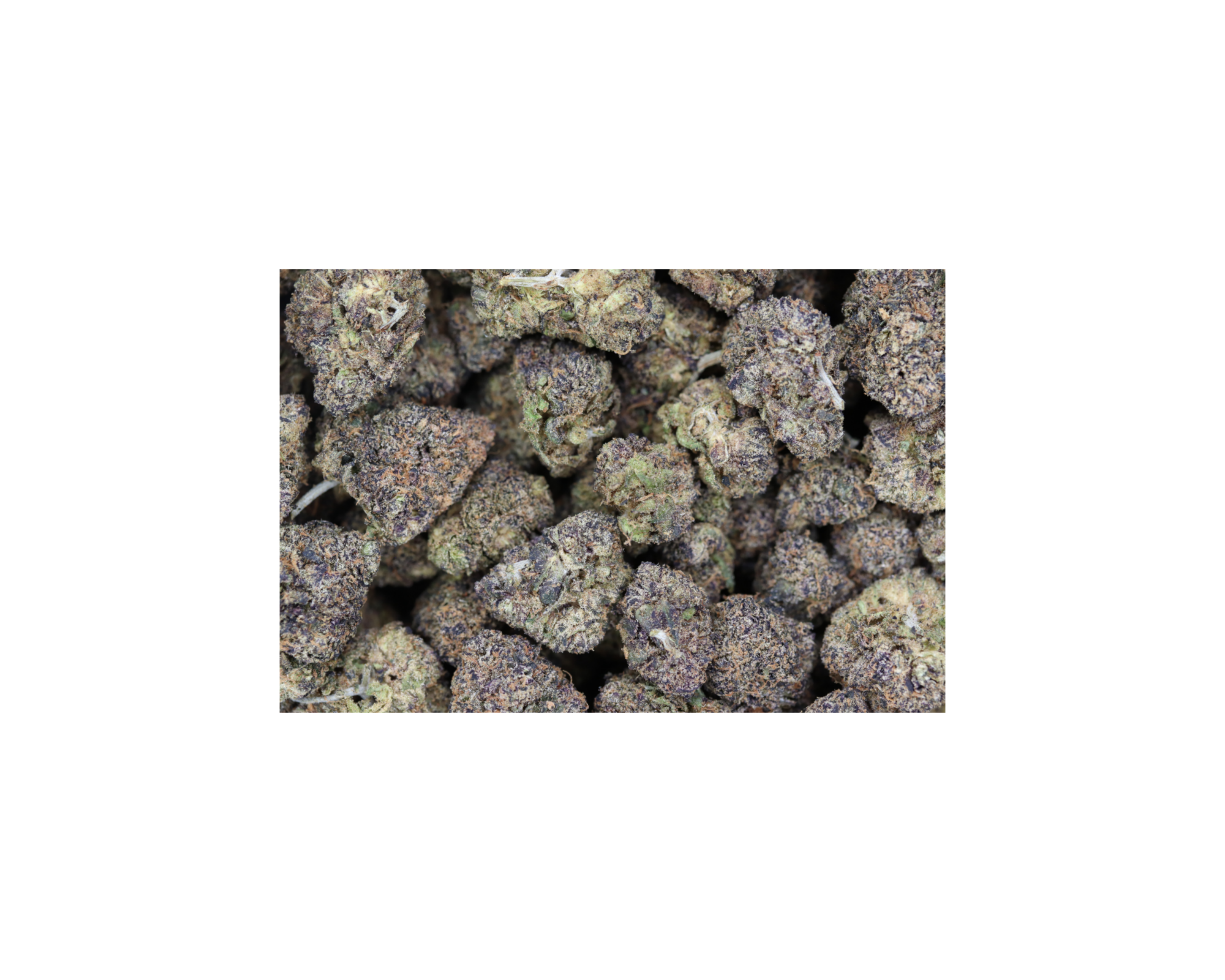 MEmber Berry bag Member Berry