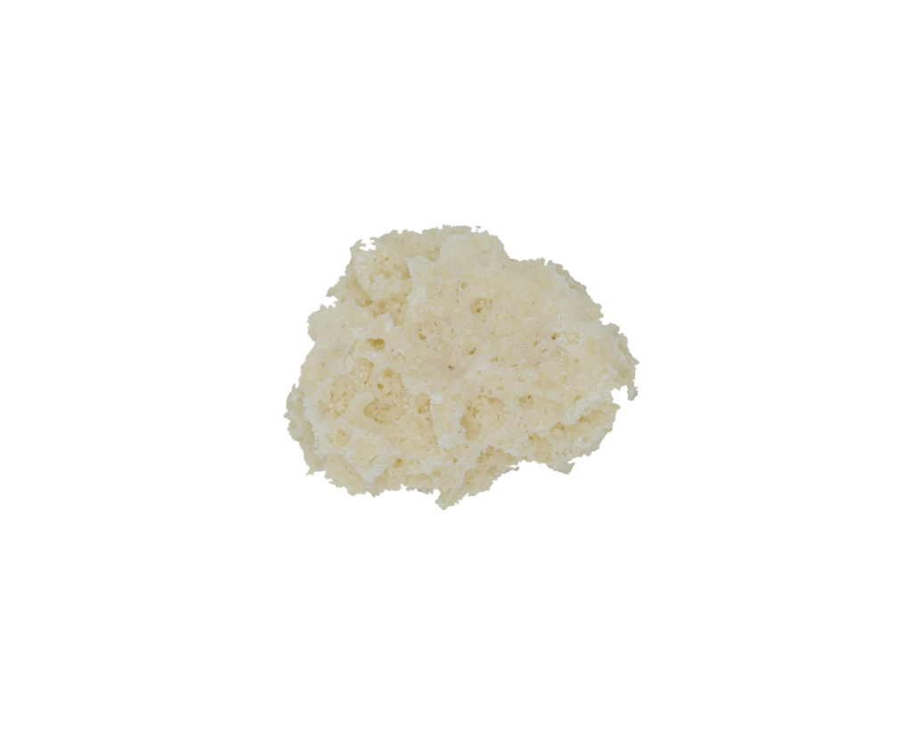 image2 image2