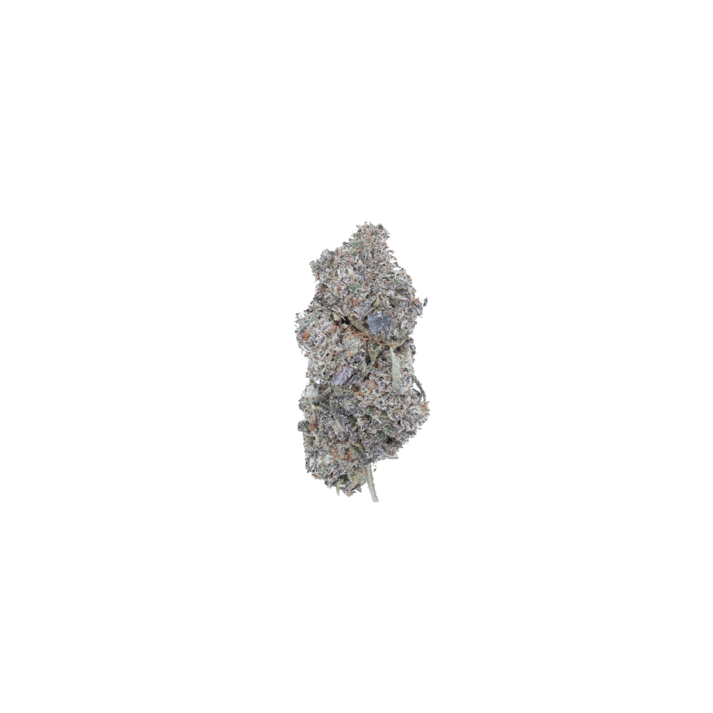 BiscottiSherbetNugCBH Biscotti Sherbet