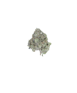 Pre-98 Bubba