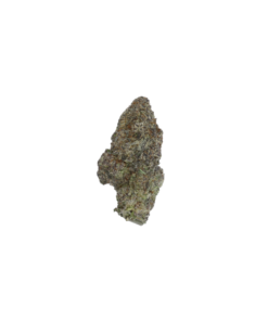 Butter Cream Gelato