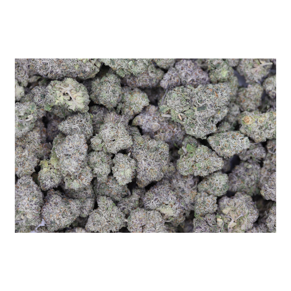 PetroleumBiscotti bag Petroleum Biscotti