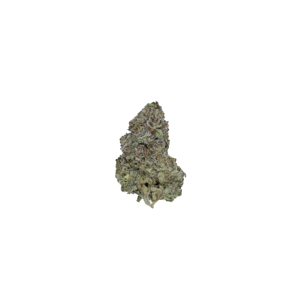 PetroleumBiscottiCBHnug Petroleum Biscotti