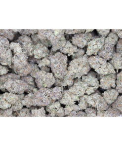 PurpleComa bag PurpleComa bag