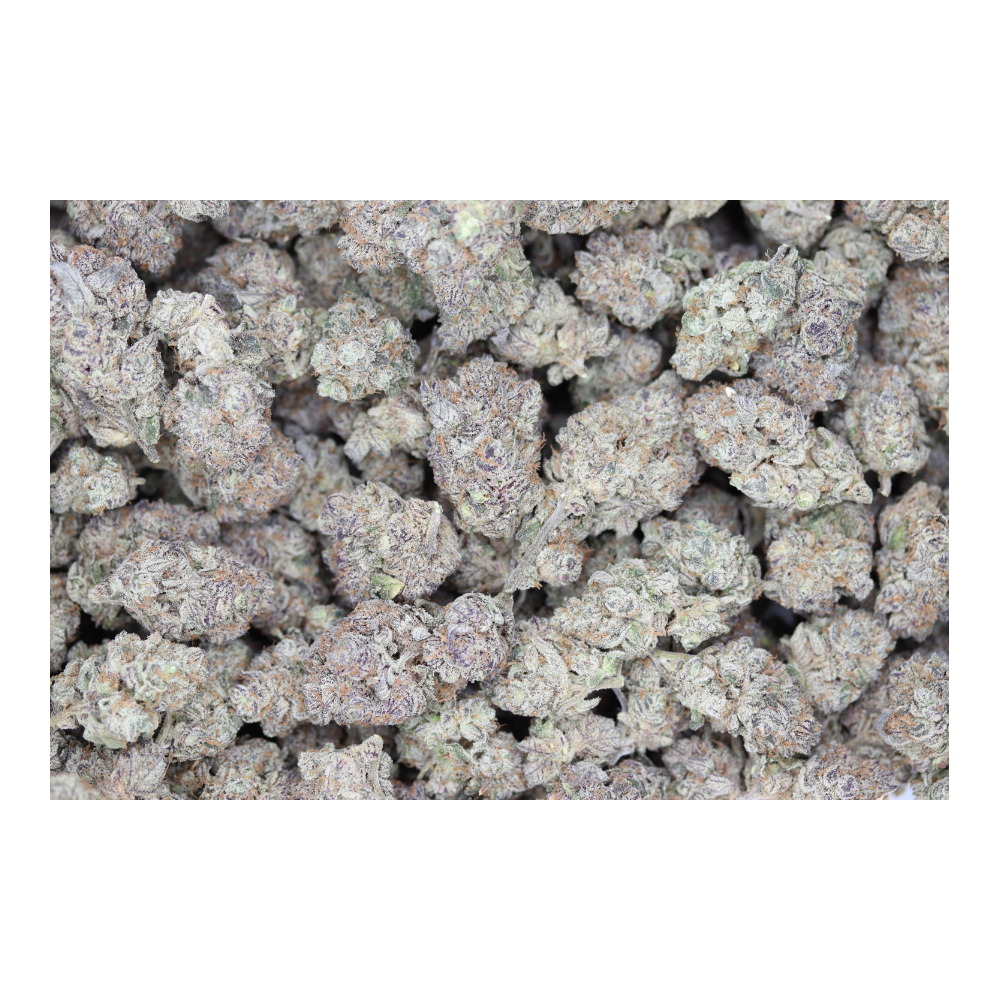 PurpleComa bag Purple Coma