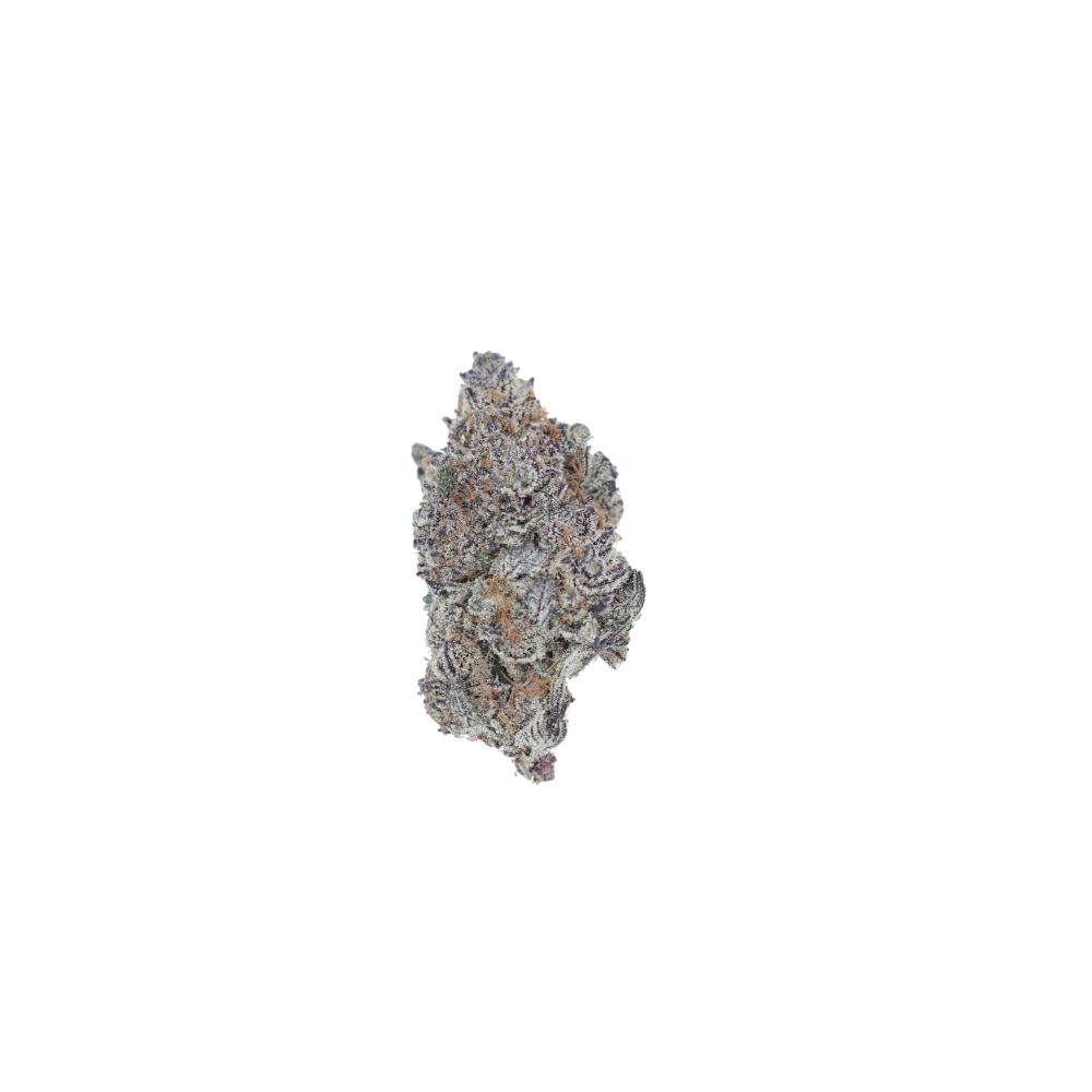 PurpleComaCBHnug Purple Coma