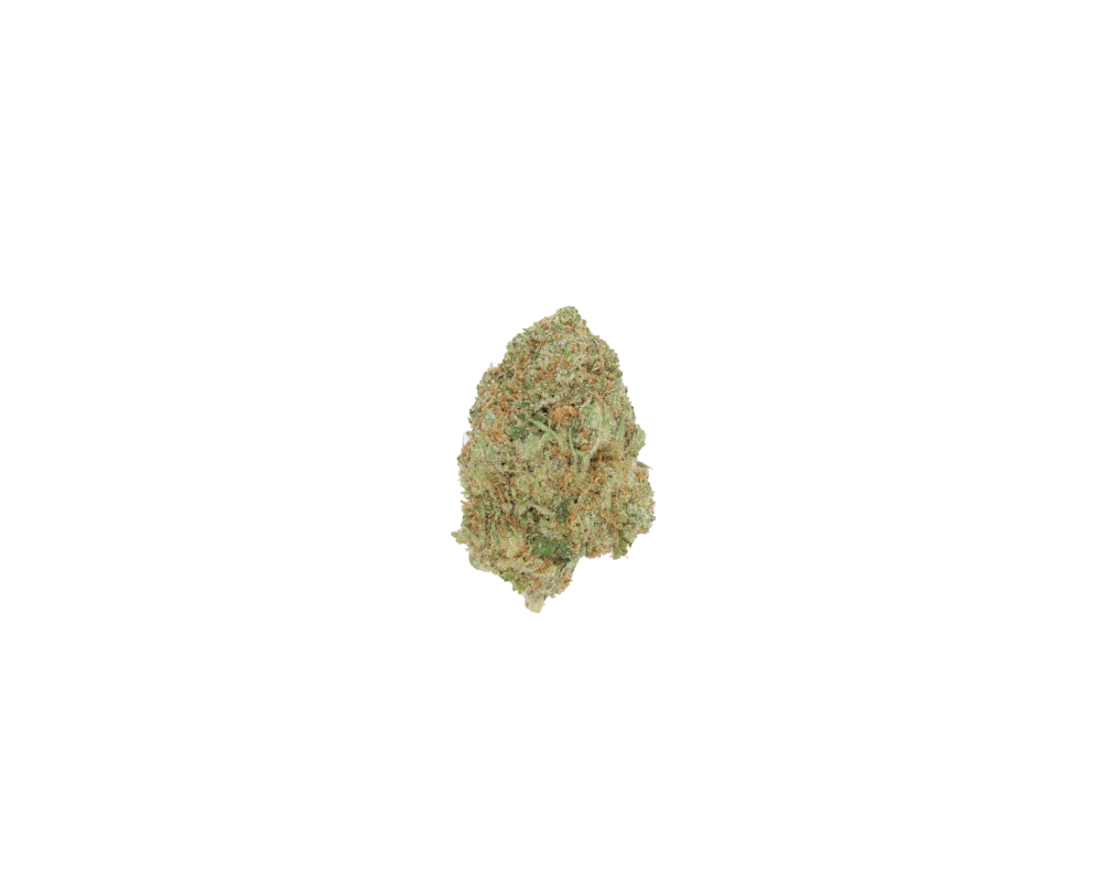 Black Sherbet cbh Black Sherbet