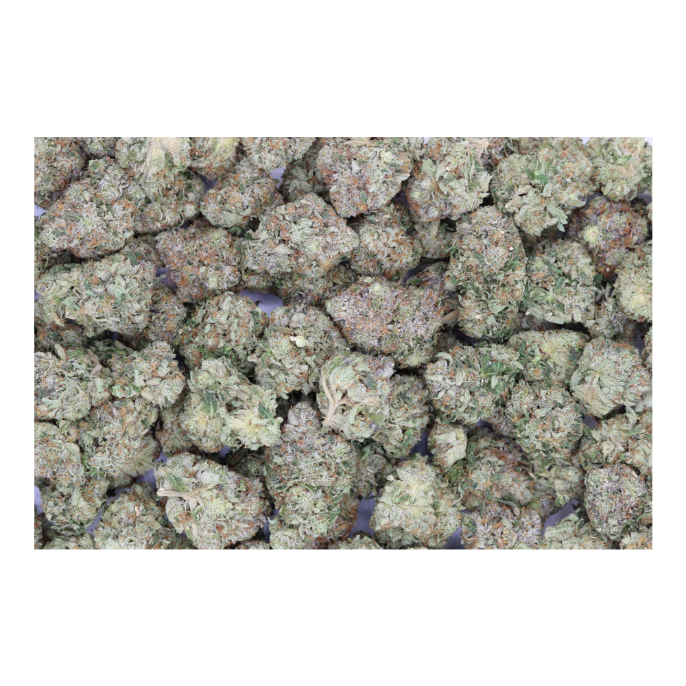 El Chapo bag El Chapo