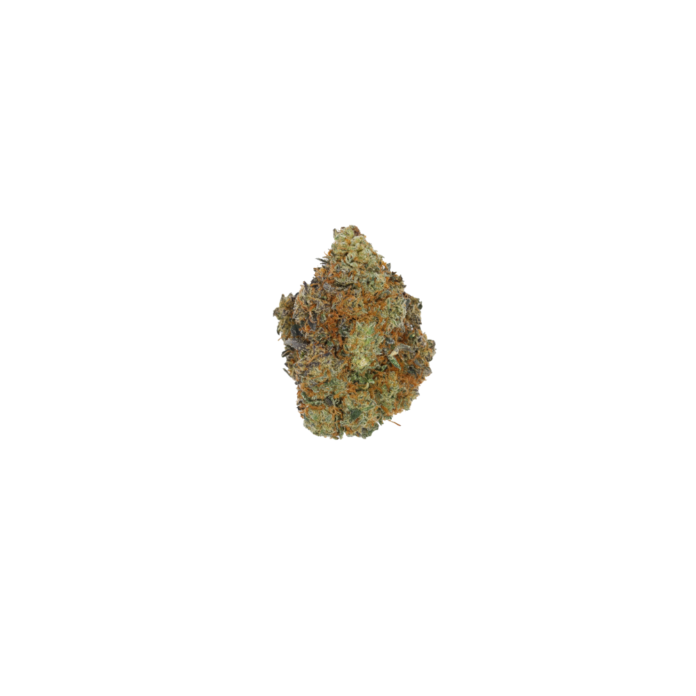 G 13 Hashplants CBH G13 Hash Plant