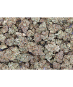 G 13 Hashplants bag G 13 Hashplants bag