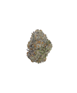 Gelato