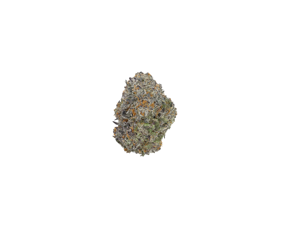 Gelato CBH Gelato