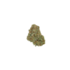 Jack Herer
