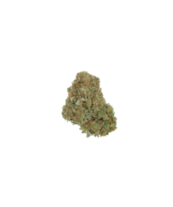 Jack Herer