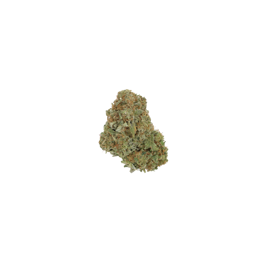 Jack Herer CBH Jack Herer