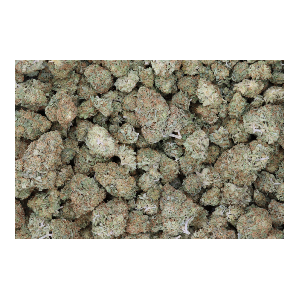 Jack Herer bag Jack Herer
