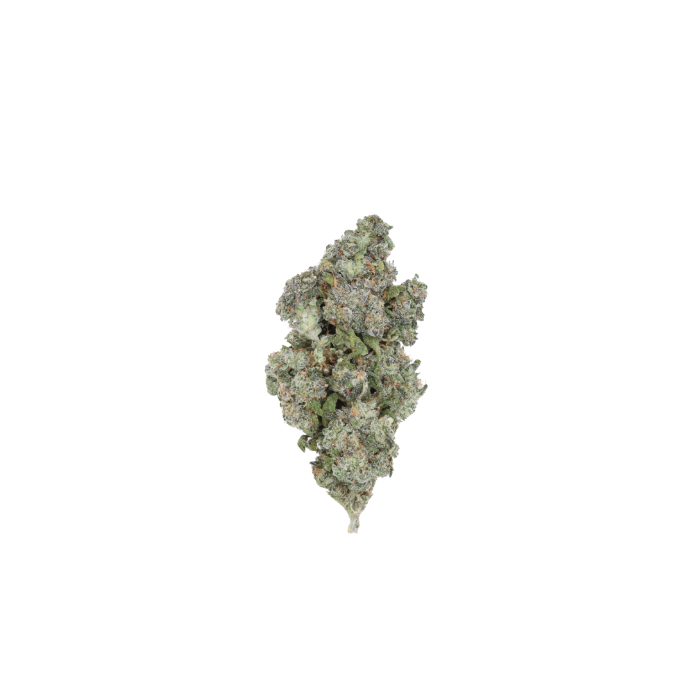 Lemon Cherry cbh Lemon Cherry
