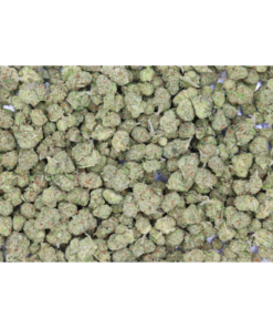 Lemon Lime Haze Smalls bag