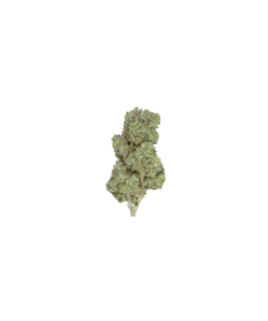 MKU