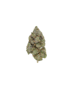 Pine Tar Kush