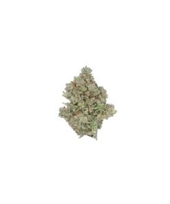 Silver Haze