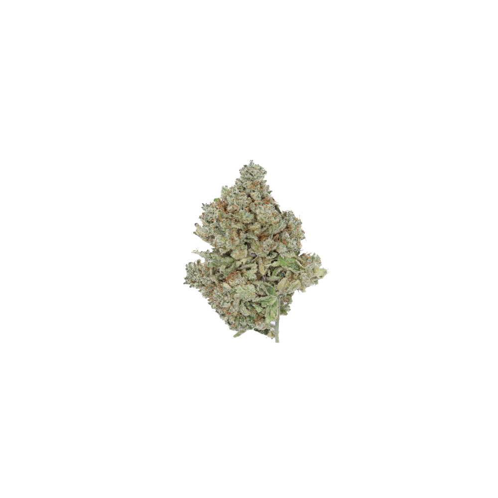 Silver Haze CBH Silver Haze