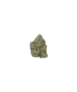Sweet Cream