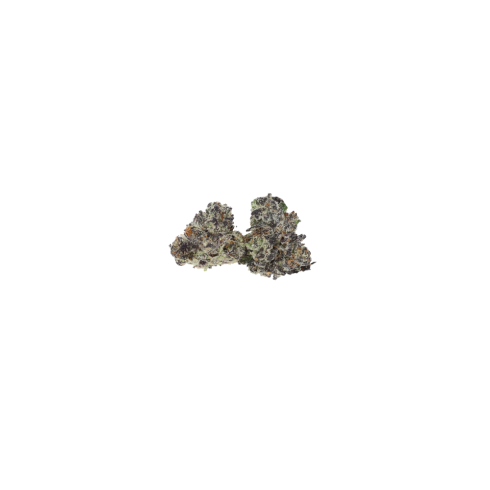 WhiteTruffleSmalls CBH2 White Truffle Smalls