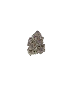 Black Cherry Cola