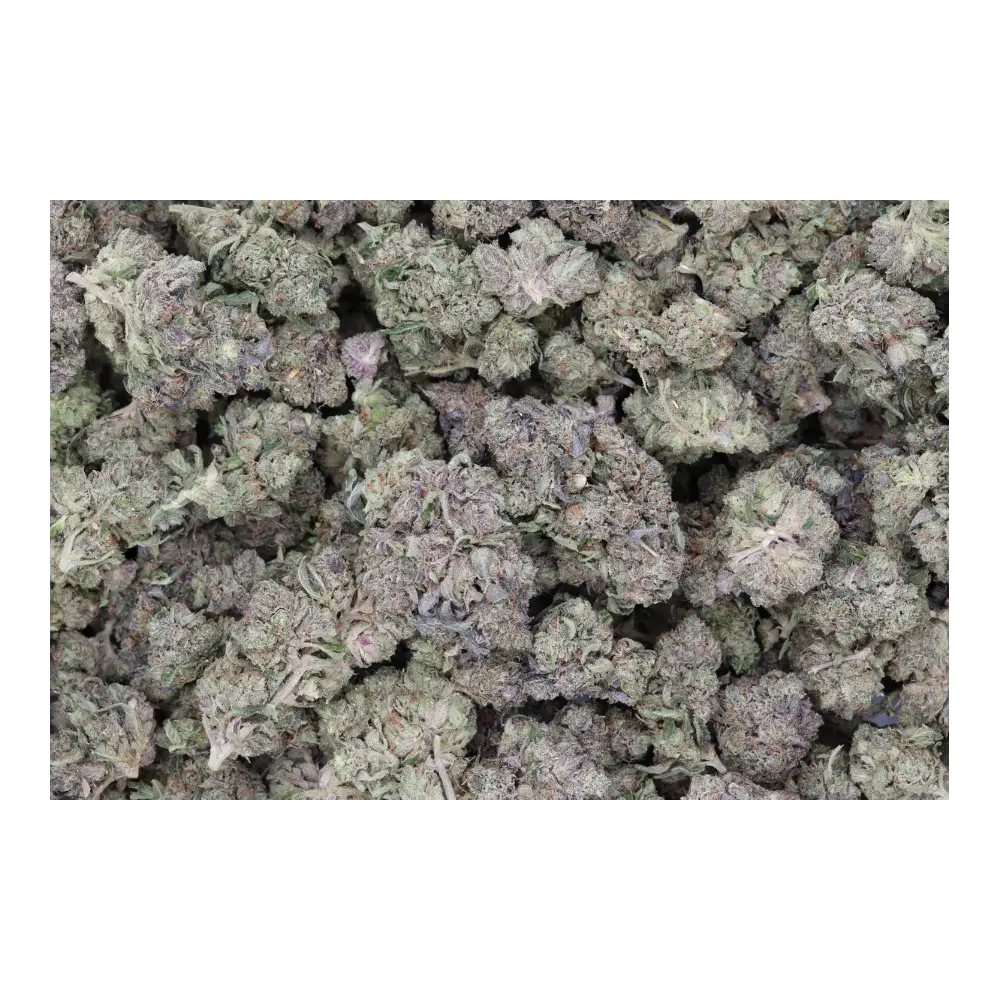 Black Tuna bag Black Tuna OG