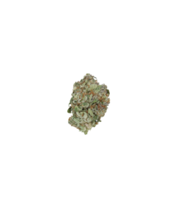 Big Bud