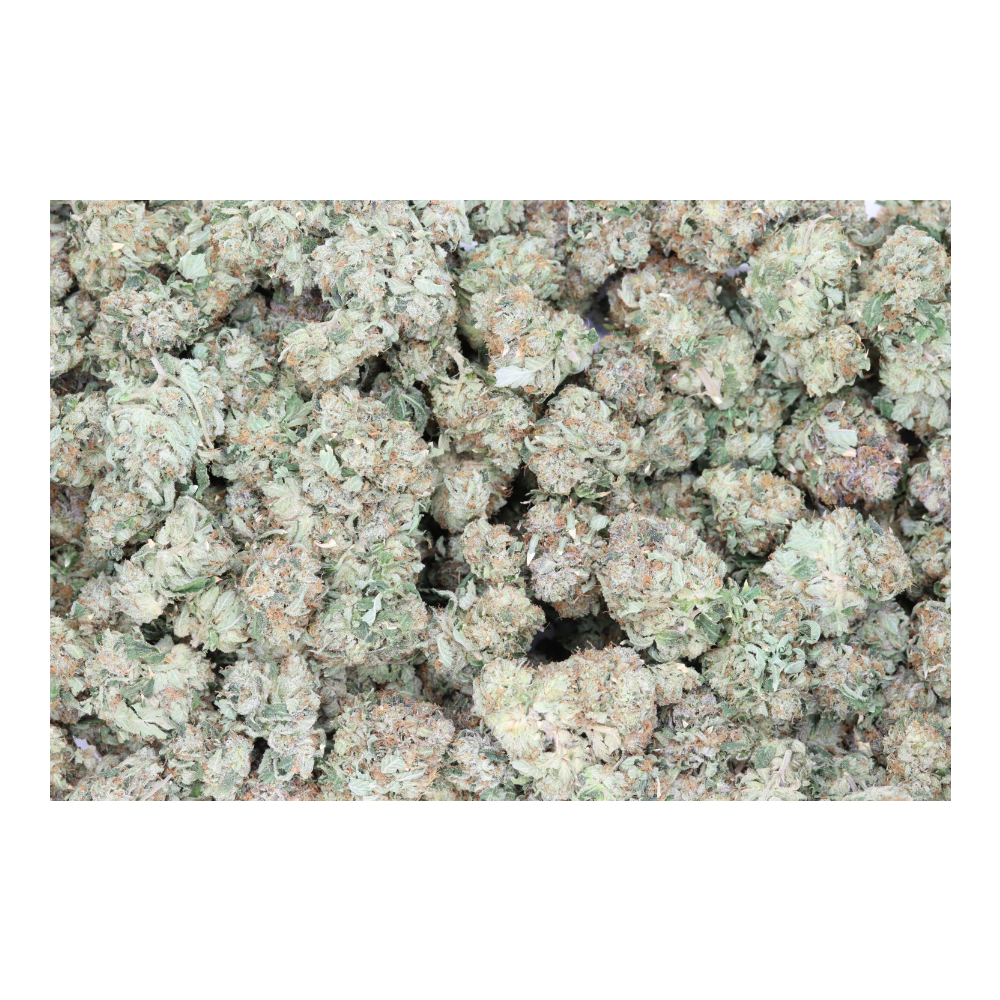 Bubba bag Big Bud