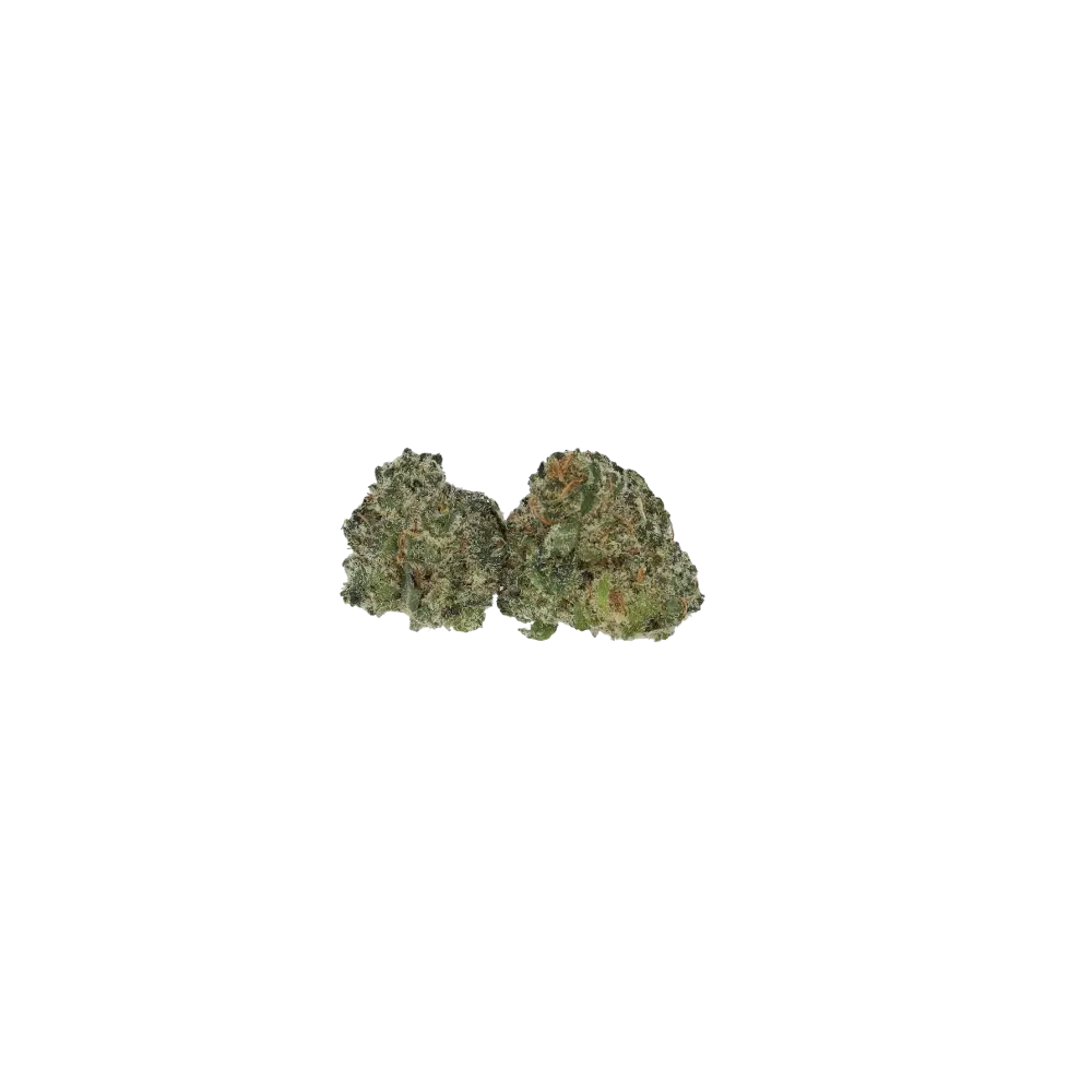 Mango Haze CBH Mango Haze Smalls