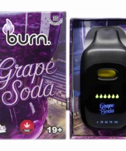 grape soda front scaled 1 grape soda front scaled 1