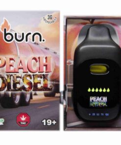 Burn LCD Disposable - 3 Gram Vape
