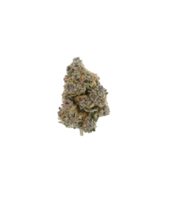 Cherry Tangerine