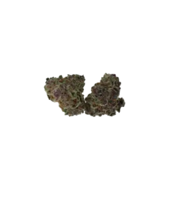 Tropic Truffle Smalls