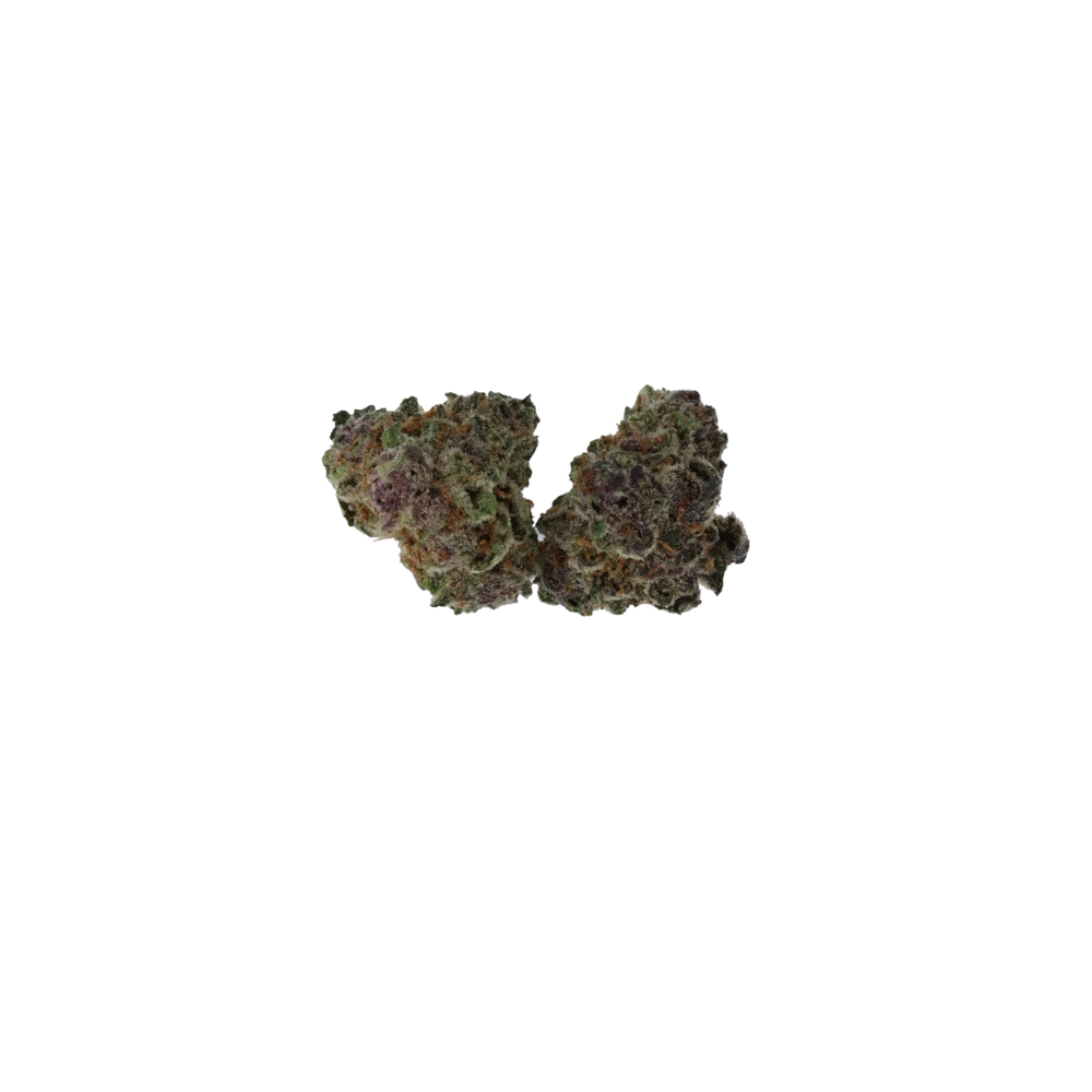 Tropic Truffle Smalls CBH Tropic Truffle Smalls